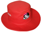 Best Quality Cotton Red Fabric Hat manufacturers, suppliers, Dealers, and wholesalers